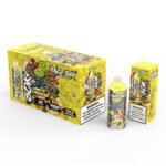 Razz bar 60000 Puffs Germany Warehouse - Image 4