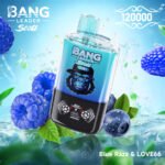 Bang Leader Stoll 120000 Dual Flavor - Image 2