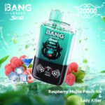 Bang Leader Stoll 120000 Dual Flavor - Image 4