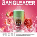 Bang Leader 20K 20000 Puffs Europe Warehouse - Image 6
