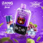 Bang Leader Stoll 120000 Dual Flavor - Image 6