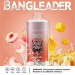 Bang Leader 20K 20000 Puffs Europe Warehouse - Image 3