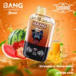 Bang Leader Stoll 120000 Dual Flavor - Image 5