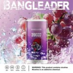 Bang Leader 20K 20000 Puffs Europe Warehouse
