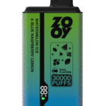 ZOOY Twins 30000 Puffs Dual flavor EU