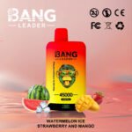 Bang leader 45000 Puffs 45K Ship From EU - Image 4