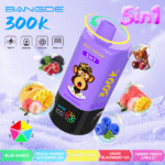 BANG DE 300000 Puff  Vape - Image 3