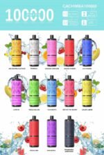 SMPO  100K  Puffs  Vape  Wholesale  Shop