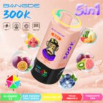 BANG DE 300k 5in1 Puffs Vape - Image 5