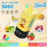 BANG DE 300k 5in1 Puffs Vape - Image 6